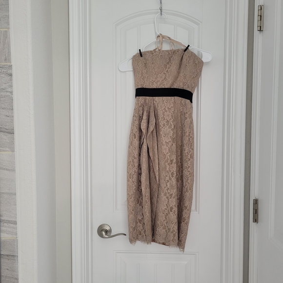 BCBGMaxAzria Strapless Lace Dress in Tan and Black - Picture 1 of 1